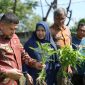 Wali Kota Munafri Tinjau Urban Farming di Tamalate Wajo, Ini Targetnya