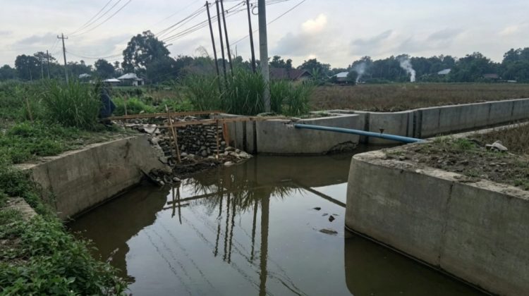 Proyek Irigasi Balai dan Rawa Pompengan diduga tak sesuai bestek hingga memicu keluhan warga Desa Bunga Pati yang kerap banjir, Senin (01/09/2026) (Foto: Tim Redaksi)