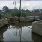 Apes! Proyek Irigasi Balai dan Rawa Pompengan Diduga Asal Jadi, Warga Masamba Mengaku Kena Imbas Banjir 